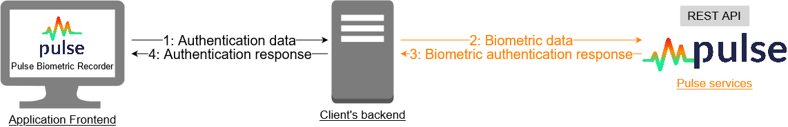 Pulse architecture schema